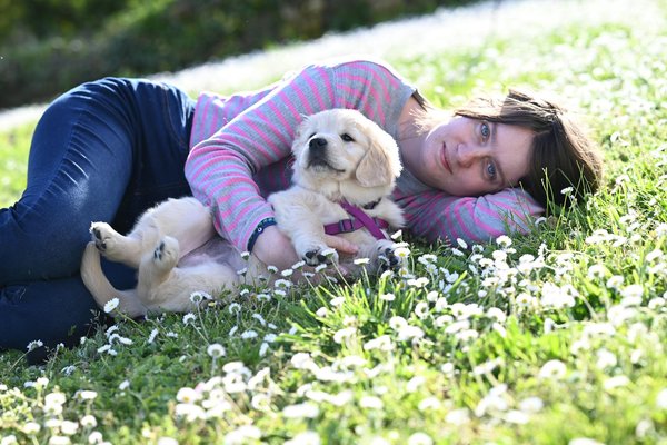 Jouets pour chats : les meilleures astuces contre l'ennui